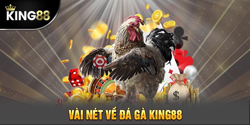 Đá gà King88