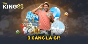 3 càng là gì