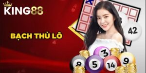bạch thủ lô