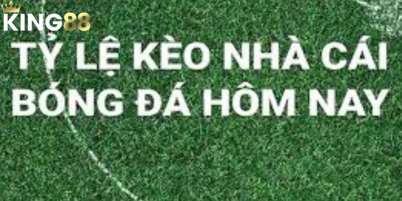 Hướng dẫn cách hiểu tỷ lệ kèo nhà cái cho người mới